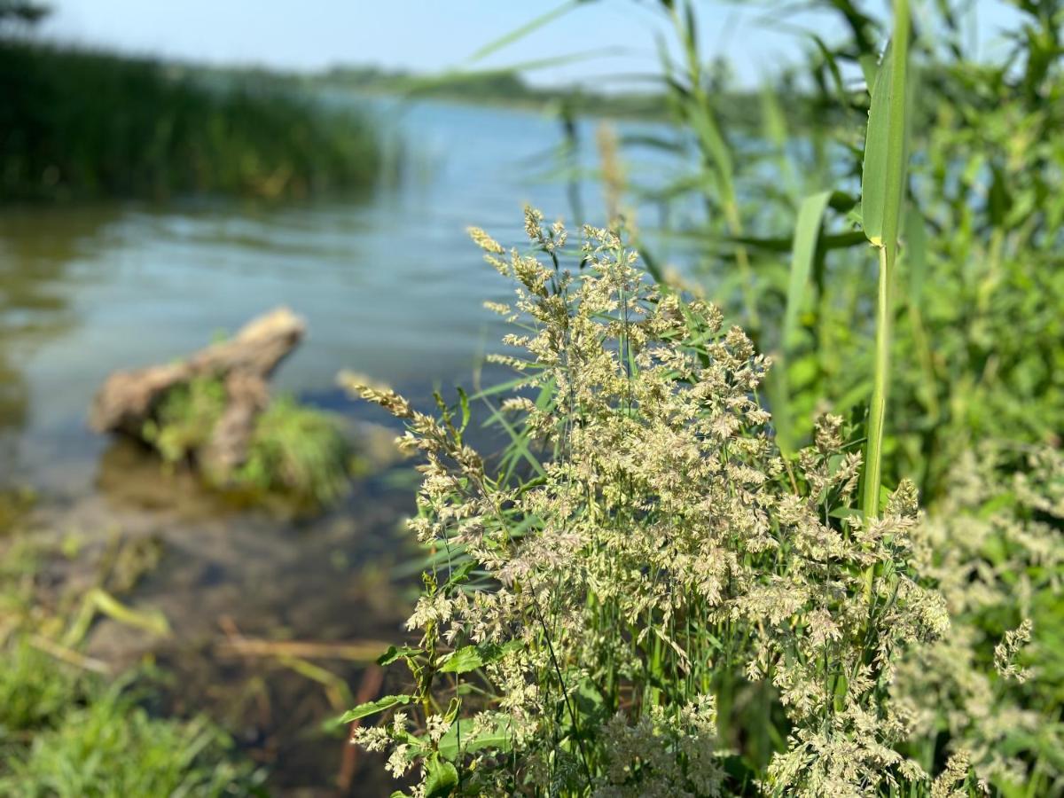 K 357 - Monteurzimmervermittlung und Vermietung Lübeck Ratekau Exterior foto