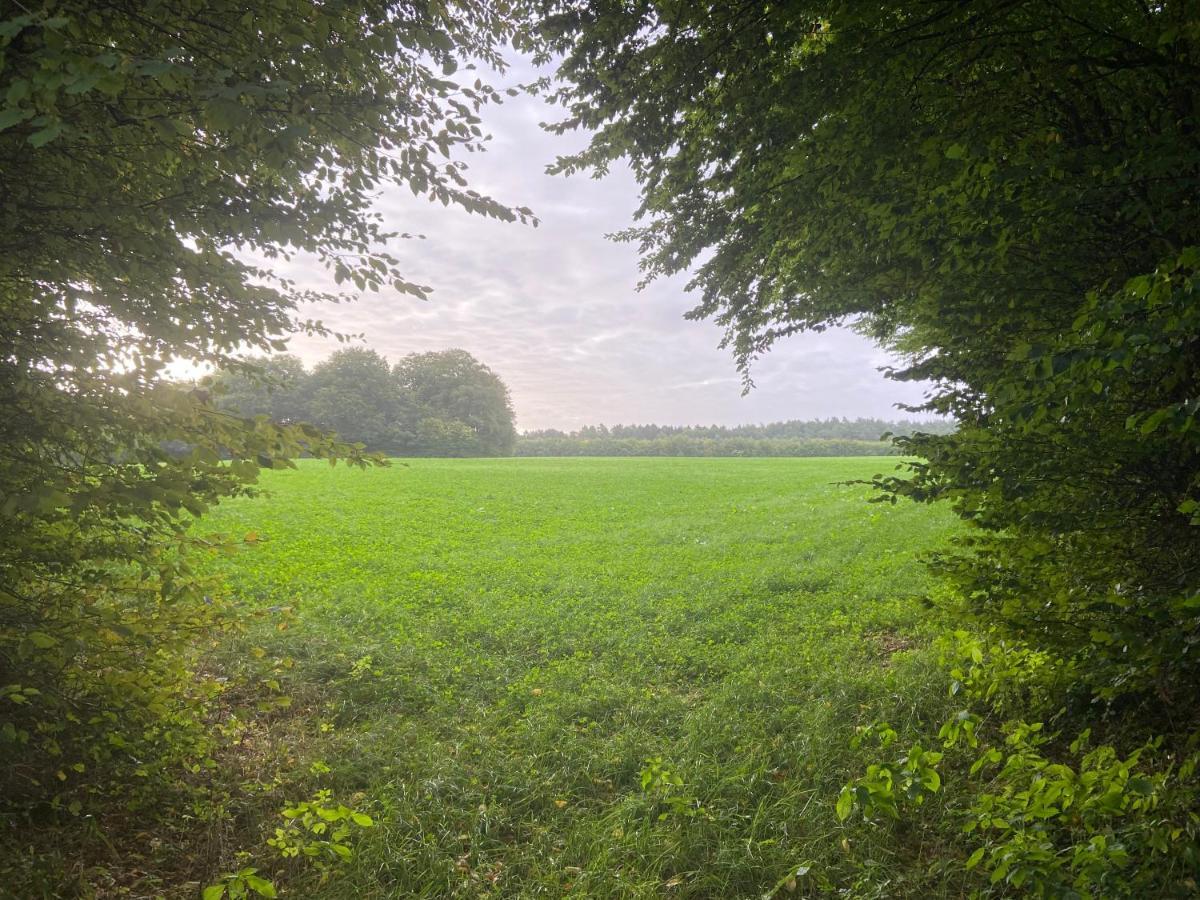 K 357 - Monteurzimmervermittlung und Vermietung Lübeck Ratekau Exterior foto