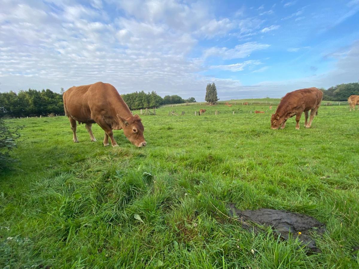 K 357 - Monteurzimmervermittlung und Vermietung Lübeck Ratekau Exterior foto